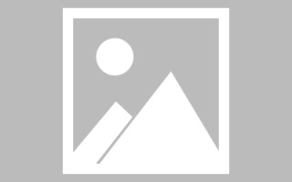 仁寿论文网站建设（网站建设的论文）